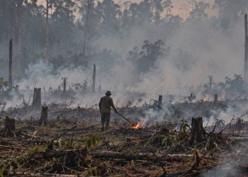 Mengukur Hukuman yang Layak bagi Perusahaan Terduga Pemicu Karhutla