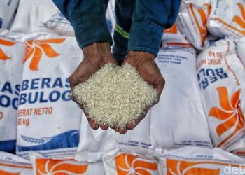 Amran Ungkap Cadangan Beras RI, Bulog Simpan 4,5 Juta Ton