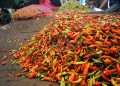 Nataru Belum Tiba, Harga Cabai Sudah Tembus Rp102 Ribu per Kg