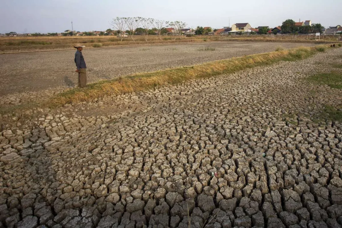 BMKG: Only 7.8% of Indonesia Has Entered Dry Season So Far