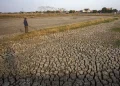 BMKG: Only 7.8% of Indonesia Has Entered Dry Season So Far