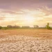 Often Confused, Here’s the Difference Between Dry Season and El Niño