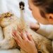 7 Proven Health Benefits of Owning a Cat, Study Finds