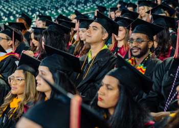 Survey Finds 47% of Students Consider Changing Majors Over AI Concerns