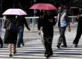 WMO Warns Extreme Global Heat Could Continue Until 2030