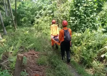 Three Climbers Killed as Mount Dukono Eruption Buries Victims