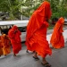 22 Monks Arrested at Sri Lanka Airport for Smuggling 90 Kg of Cannabis