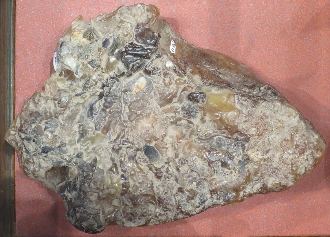 Whale Vomit Can Be Worth More Than Gold, Here’s Why