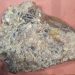 Whale Vomit Can Be Worth More Than Gold, Here’s Why