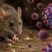 International Alert Grows as MV Hondius Hantavirus Cases Spread Across Borders