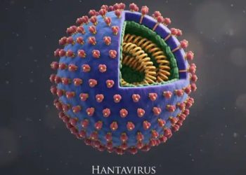 List of Asian Countries That Have Reported Hantavirus Cases and Outbreaks