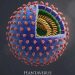 List of Asian Countries That Have Reported Hantavirus Cases and Outbreaks