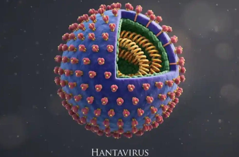 List of Asian Countries That Have Reported Hantavirus Cases and Outbreaks