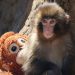 Two American Tourists Arrested After Breaking Into 'Punch' Monkey Enclosure