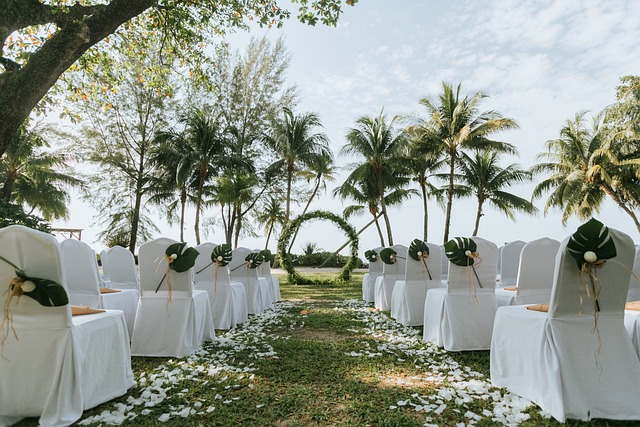 Wedding Organizer Disappears Before Ceremony, Couple Loses Rp85 Million