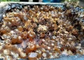 BRIN, UGM Discover Probiotic Bacteria in Stingless Bee Honey With Potential Anti-Cancer Benefits