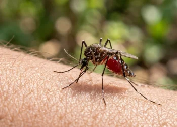 Climate Change Fuels Surge in Malaria Cases Across Southern Africa