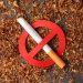 Doctor Explains the Critical Stages of Quitting Smoking and Recovery