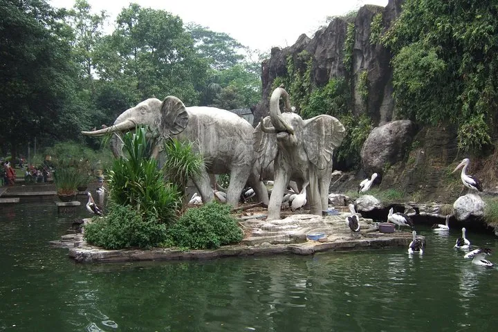 Child Falls Into Elephant Enclosure at Ragunan Zoo, Parents Allegedly Negligent