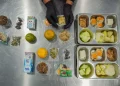 Indonesia to Launch Portal Letting Parents Track Free School Meal (MBG) Menus