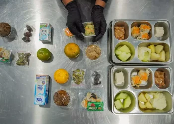 Indonesia to Launch Portal Letting Parents Track Free School Meal (MBG) Menus