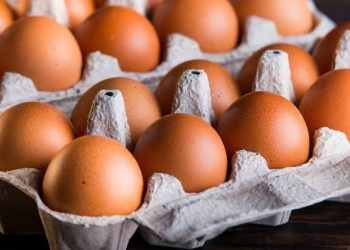 Chicken, Egg Prices Stay Stable as New Farmgate Benchmark Takes Effect