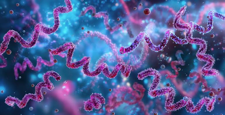 Man, 83, Diagnosed With Rare Syphilis After Visiting ER for Severe Itching