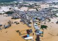 Around 900 Snakes Escape Farm After Flash Floods Hit Southern China