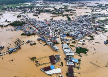 Around 900 Snakes Escape Farm After Flash Floods Hit Southern China