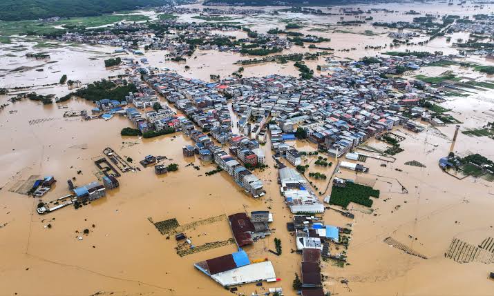 Around 900 Snakes Escape Farm After Flash Floods Hit Southern China