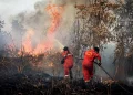 Indonesia’s Fires Worsen Air Quality Across Two Neighboring Countries