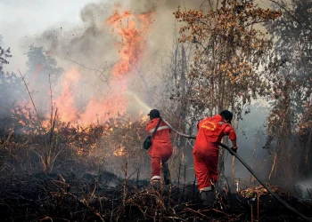 Indonesia’s Fires Worsen Air Quality Across Two Neighboring Countries