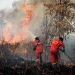 Indonesia’s Fires Worsen Air Quality Across Two Neighboring Countries