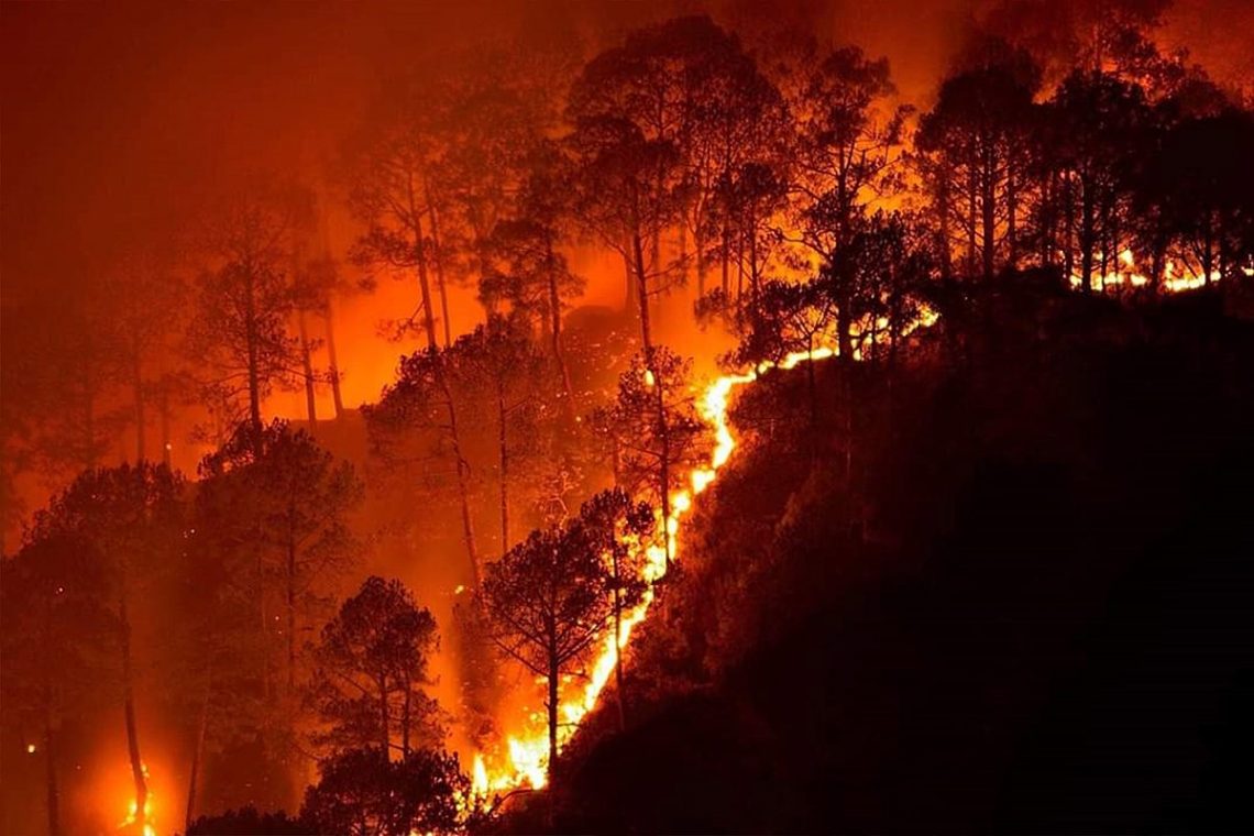 Riau Police Name 40 Suspects in 37 Forest Fire Cases