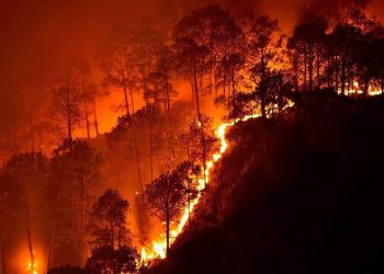 Riau Police Name 40 Suspects in 37 Forest Fire Cases
