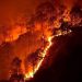 Riau Police Name 40 Suspects in 37 Forest Fire Cases
