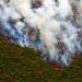 Burned Forest Land in Riau Allegedly Targeted for Palm Oil Plantation