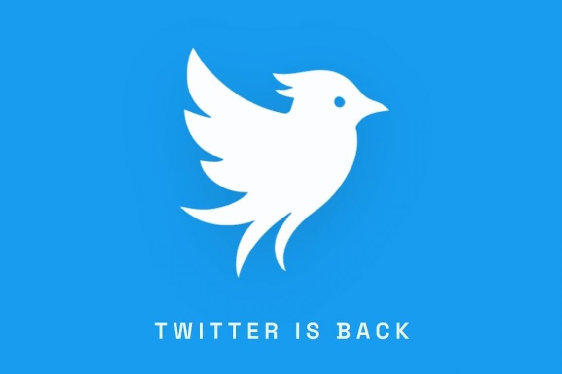 Twitter is Back With a New Platform After Musk Turned It Into X