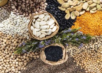 These 6 Beans Can Help Support Heart Health