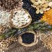 These 6 Beans Can Help Support Heart Health