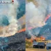 Bromo Wildfire Eases as Fire Spots Disappear, 1,120 Hectares Burned
