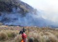 Indonesia Shuts Mount Bromo After Wildfire Burns More Than 176 Hectares