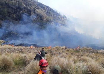 Indonesia Shuts Mount Bromo After Wildfire Burns More Than 176 Hectares