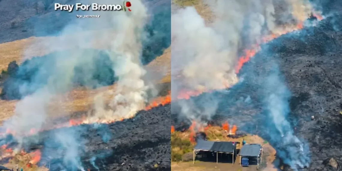 Bromo Wildfire Eases as Fire Spots Disappear, 1,120 Hectares Burned