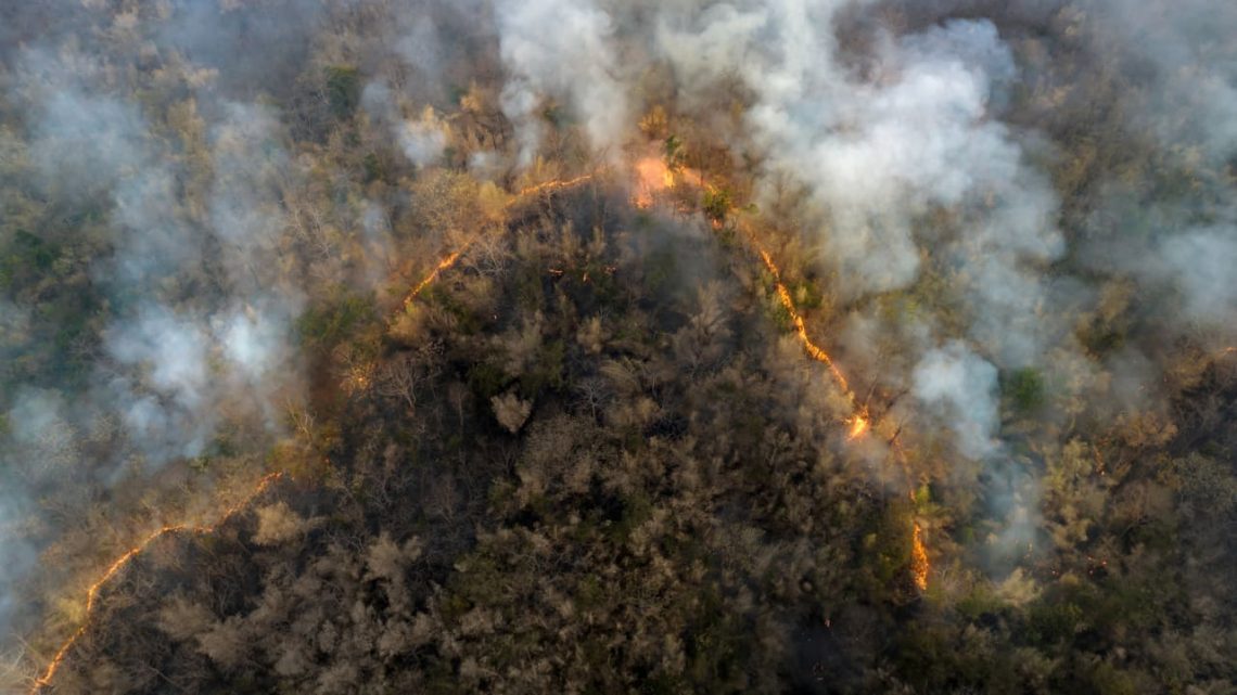 Indonesia’s Forest Fire Carbon Emissions Surge 429% Above Seasonal Average