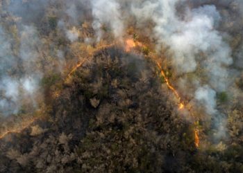 Indonesia’s Forest Fire Carbon Emissions Surge 429% Above Seasonal Average