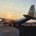 Bulog Sends Food Aid to Communities Hit by NTT Earthquake