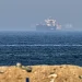 Oil Prices Drop Nearly 5% After Trump Delays Iran Strike
