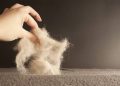 7 Easy Ways to Keep Your Home Free of Pet Hair