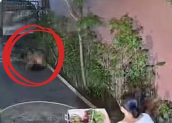 Australian Tourist Caught in Public Sex Act Arrested in Bali